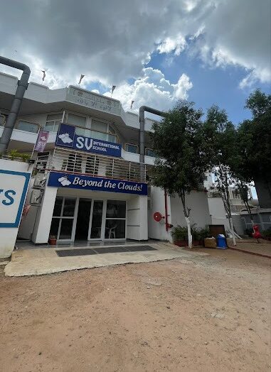 About SVIS